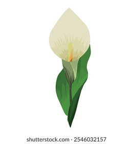 Hand draw flower outline frame card