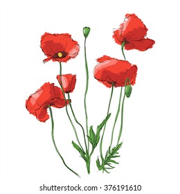Dibujo manual de flor. Ilustración vectorial.
