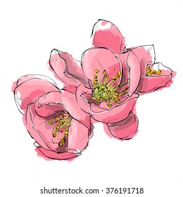 Hand Draw Of Flower. Vector Illustration.