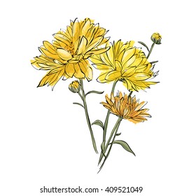 Hand Draw Of Flower. Vector Illustration.