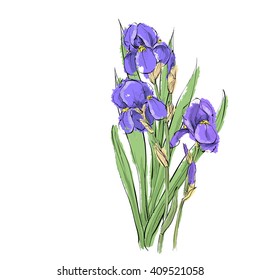 Hand draw of flower. Vector illustration.