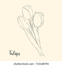  Hand draw of flower. Vector illustration. Sketch.
