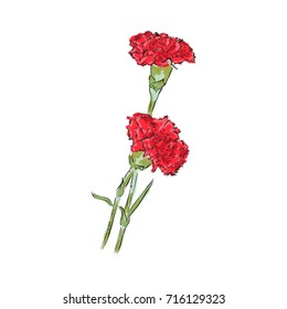 Hand draw of flower. Vector illustration on a white background.