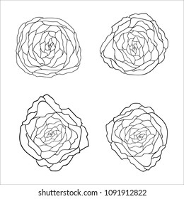 hand draw flowers