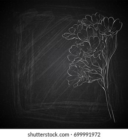 Hand draw of flowers on a chalkboard. Vector collection.