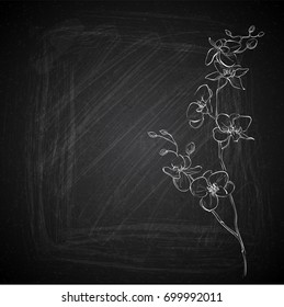 Hand draw of flowers on a chalkboard. Vector collection.