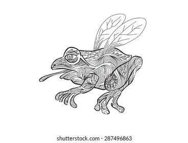 A hand draw of flying frog with fly wings in zentangle style