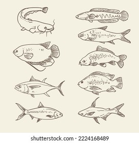 hand draw food background element set vector illustration