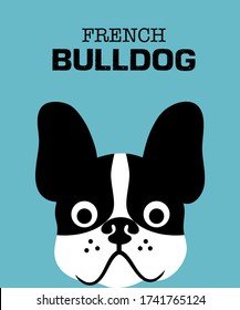 Hand draw French bulldog half white half black. French dog so exciting. Vector illustration art on blue pastel background.