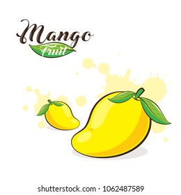 Hand Draw Fresh Mango Fruit On White Background. Vector illustration.