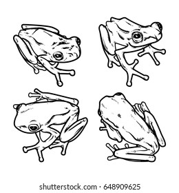 Hand draw frog isolated, frog Vector illustration, Set of frog outline