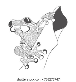 hand draw of frog in zentangle style. vector