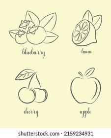 Hand draw frutis, set. Apple, lemon, cherry, blueberry.	
