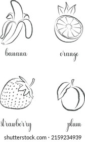 Hand draw frutis, set. Banana, Orange, Strawberry, Plum	