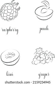 Hand draw frutis, set. Raspberry, Peach, Kiwi, Grapes	