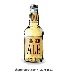 Hand draw of  Ginger ale. Vector illustration.