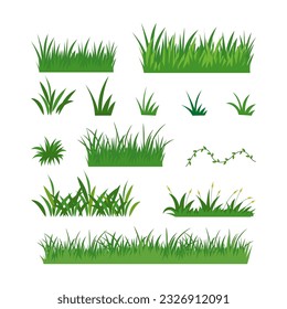 hand draw grass vector collection