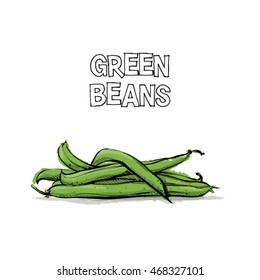 Hand draw of green beans. Vector illustration.