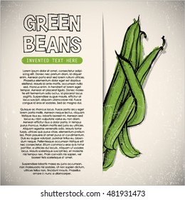 Hand draw of green beans. Vector illustration.