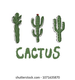Hand draw green cactus vector illustration