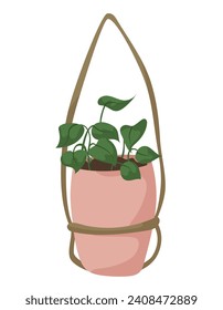 Hand draw hanging indoors plant with ropes isolated on white. Pink, green colors. Houseplant in doodle style. Vector illustration for postcards, wrapping, banners, package and patterns.