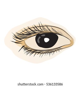 hand draw human black Asian eye. vector illustration.