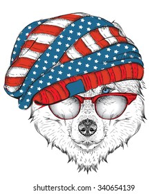 Hand draw husky in a USA hat. Vector illustration