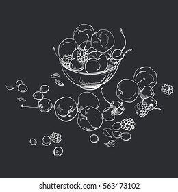 Hand draw illustarion of fresh fruit in a bowl. Peaches and cherries