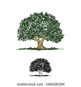 Hand Draw Illustration classic tree logo design Vector inspiration