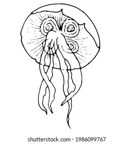 Jellyfish Line Drawings Images, Stock Photos & Vectors | Shutterstock