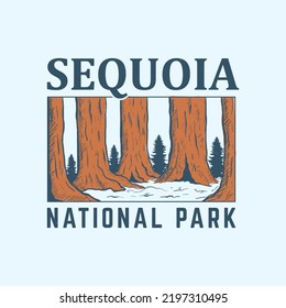 Hand draw illustration of saquoia national park, vintage, perfect for t-shirt design and more