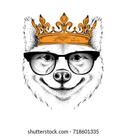 Hand draw Image Portrait of akita inu dog in the crown. Use for print, posters, t-shirts. Hand draw vector illustration