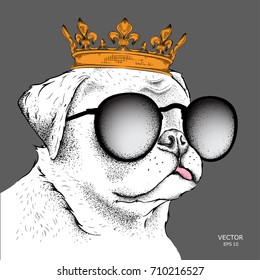 Hand draw Image Portrait of Cocker in the crown. Use for print, posters, t-shirts. Hand draw vector illustration