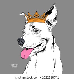 Hand draw Image Portrait of dog in the crown. Use for print, posters, t-shirts. Hand draw vector illustration