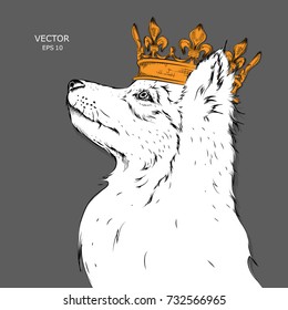 Hand draw Image Portrait of  dog in the crown. Use for print, posters, t-shirts. Hand draw vector illustration