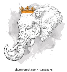 Hand draw Image Portrait elephant   in the crown. Use for print, posters, t-shirts. Hand draw vector illustration