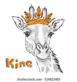Hand draw Image Portrait giraffe in the crown. Use for print, posters, t-shirts. Vector illustration