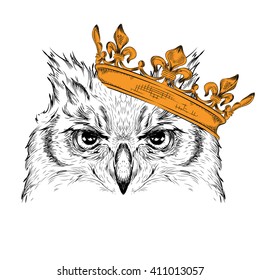 Hand draw Image Portrait owl  in the crown. African / indian / totem / tattoo design. Use for print, posters, t-shirts. Hand draw vector illustration
