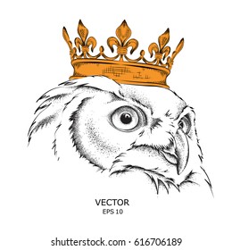 Hand draw Image Portrait owl  in the crown. African / indian / totem / tattoo design. Use for print, posters, t-shirts. Hand draw vector illustration