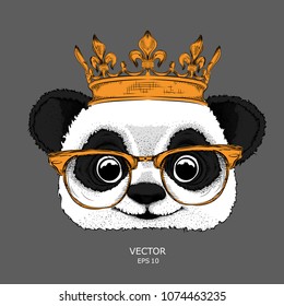 Hand draw Image Portrait of panda in the crown. Hand draw vector illustration