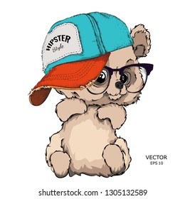 Hand draw Image Portrait of toy bear in a cap. Hand draw vector illustration