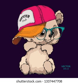 Hand draw Image Portrait of toy bear in a cap. Hand draw vector illustration
