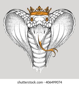 Hand draw King Cobra in the crown. Vector illustration