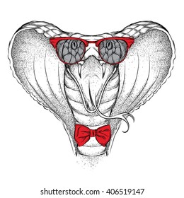 Hand draw King Cobra in glasses. Vector illustration