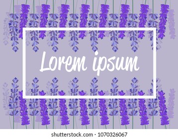 Hand draw Lavender with text and white line art rectangle on purple background, Eps 10 vector