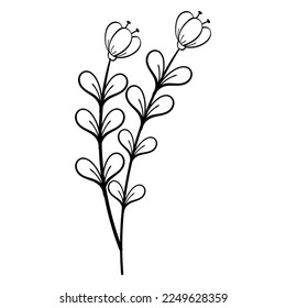 Hand Draw Leaves and Flower Element