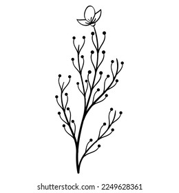 Hand Draw Leaves and Flower Element