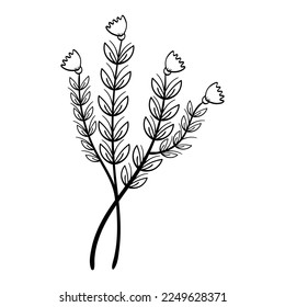 Dibujo manual de hojas y elemento de flor