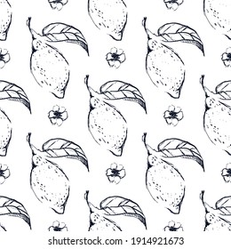 Hand draw lemon seamless pattern background wallpaper. Cute seamless pattern with lemons. Vector seamless pattern with lemon, leaves and flower. Citrus line seamless background.