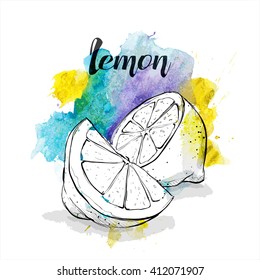 Hand draw of lemon. Vector illustration.